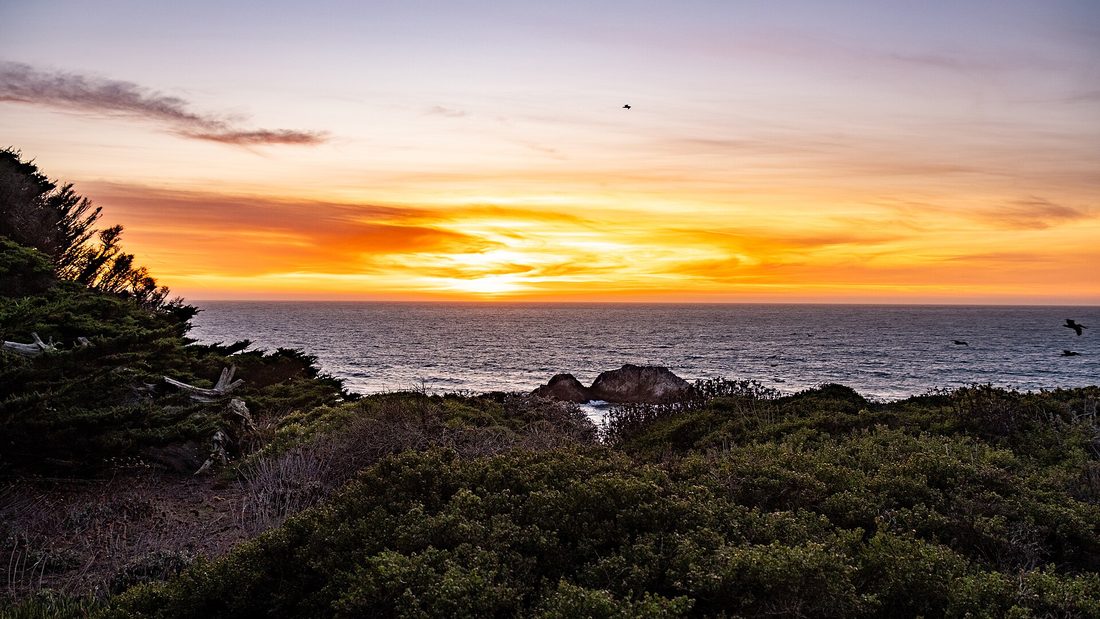 Point Lobos